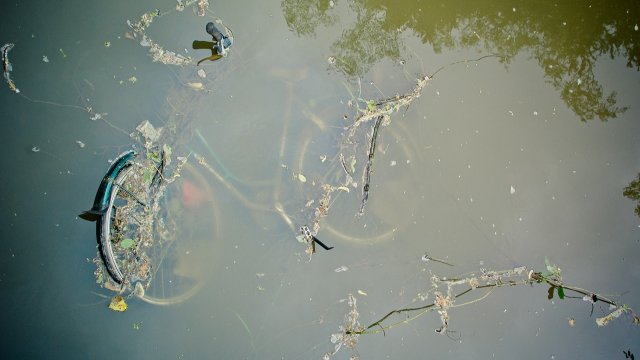 Initiative: So viele Müllsammler am Flussaktionstag wie noch nie