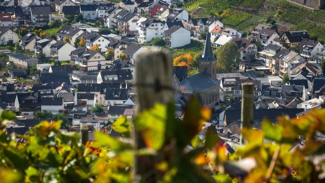 Flut-U-Ausschuss: Weitere Beweisaufnahme zeichnet sich ab