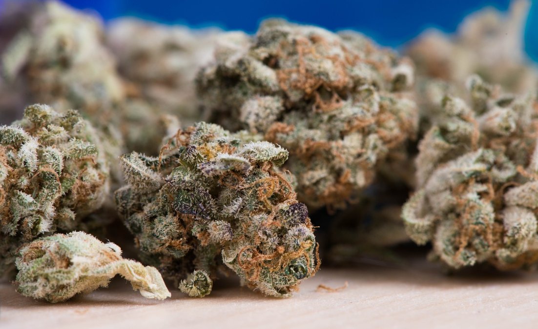 Ein Kilogramm Marihuana hinter Rücksitzbank versteckt Ein Kilogramm Marihuana hinter Rücksitzbank versteckt