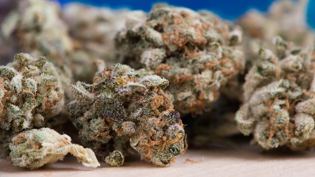 Ein Kilogramm Marihuana hinter Rücksitzbank versteckt