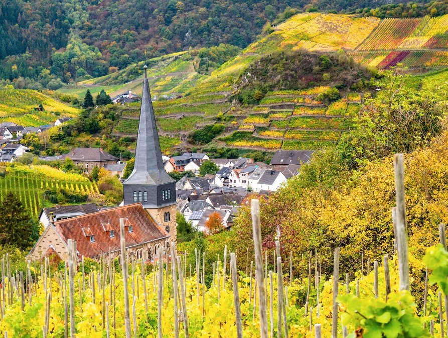 Ahrtal-Tourismus zufrieden mit Sommer - Bürokratie bremst Ahrtal-Tourismus zufrieden mit Sommer - Bürokratie bremst
