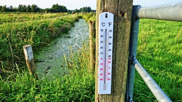 Noch einmal Sonne und Wärme tanken: Die letzten sommerlichen Tage des Jahres stehen bevor