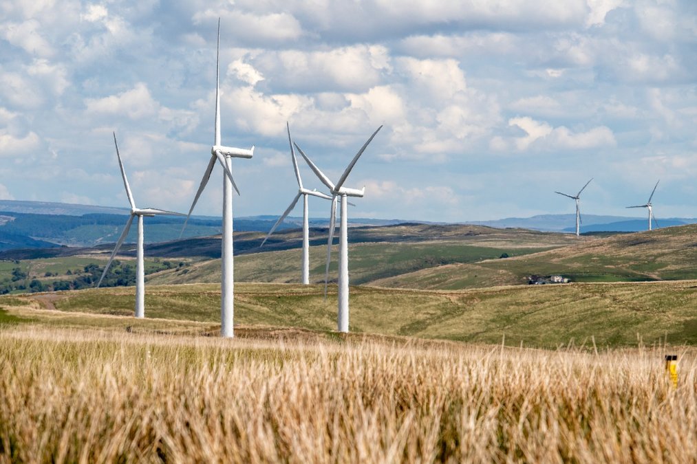 Oberraden: Artenschutz verhindert Windräder Oberraden: Artenschutz verhindert Windräder