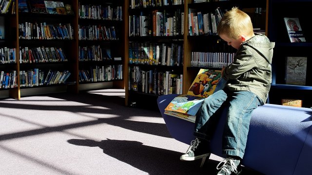 Rekord bei "Lesesommer" mit über 22.000 Kindern und Jugendlichen