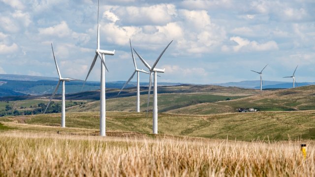 Oberraden: Artenschutz verhindert Windräder