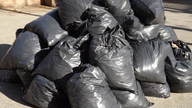 Sinzig: Möglicherweise menschliche Knochen bei Müllsammelaktion gefunden