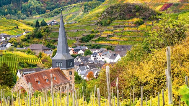 Ahrtal-Tourismus zufrieden mit Sommer - Bürokratie bremst