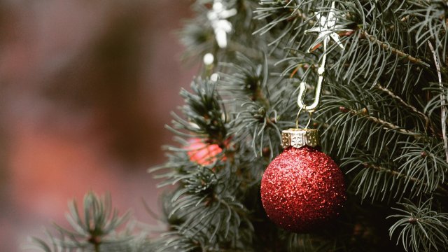 Mehr Öko-Weihnachtsbäume - Nachfrage dennoch höher als Angebot