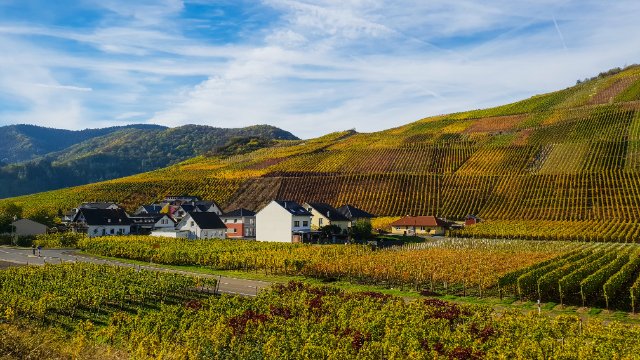 Umweltministerin Eder: Wiederaufbau des Ahrtals soll 2024 Fahrt aufnehmen