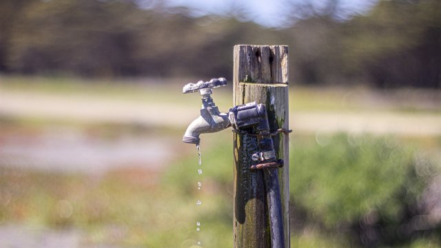 Land- und Forstwirtschaft muss Entgelt für Wasserentnahme zahlen