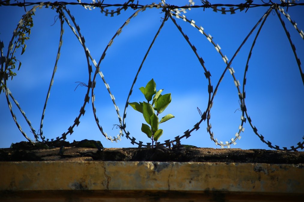 Christstollen und Hühner: Die Gefängnisse in Rheinland-Pfalz Christstollen und Hühner: Die Gefängnisse in Rheinland-Pfalz