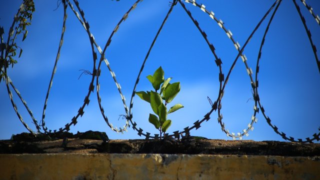Christstollen und Hühner: Die Gefängnisse in Rheinland-Pfalz