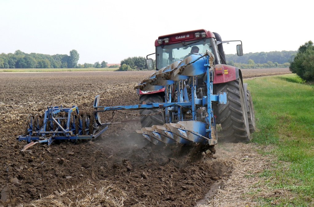 Landwirte erhalten rund 175 Millionen Euro vom Land Rheinland-Pfalz in 2023