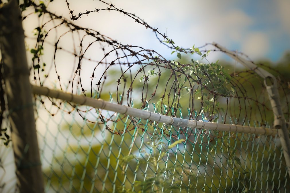 Drogenscanner in Gefängnissen setzen sich weiter durch Drogenscanner in Gefängnissen setzen sich weiter durch