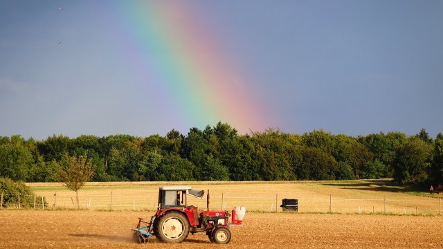 Erster Sieg für die Landwirte: Ampel kippt Sparpläne für die Bauern
