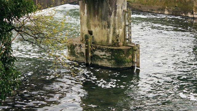 Pegelstände am Rhein steigen - Landesweit Entspannung erwartet