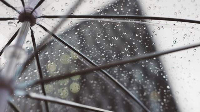 Deutscher Wetterdienst: Viel Regen in der kommenden Woche