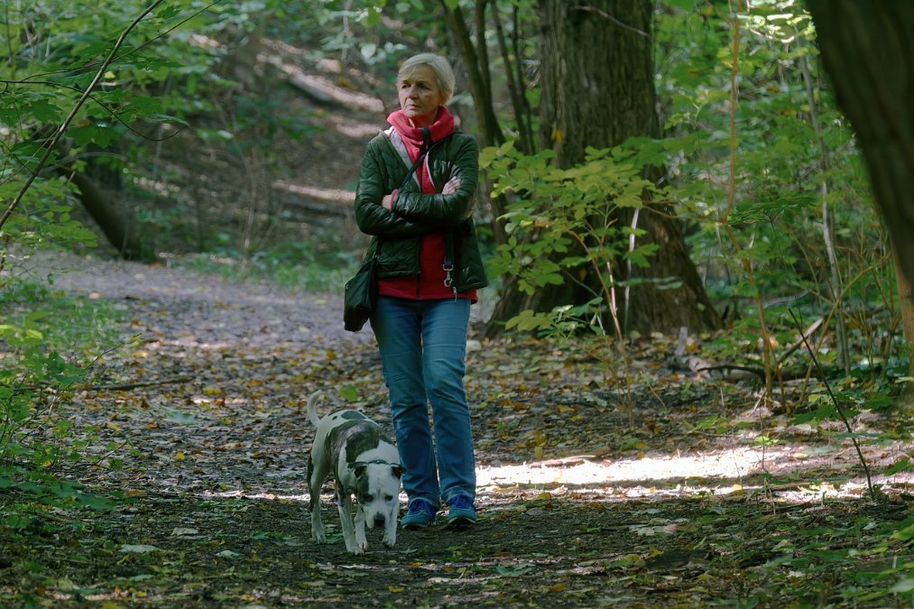 Gewalttätiger Vorfall auf dem Remstecken: Frau nach Hundebegegnung niedergeschlagen Gewalttätiger Vorfall auf dem Remstecken: Frau nach Hundebegegnung niedergeschlagen