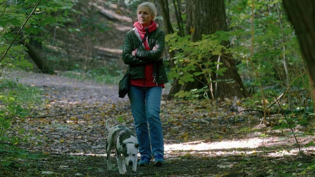 Gewalttätiger Vorfall auf dem Remstecken: Frau nach Hundebegegnung niedergeschlagen