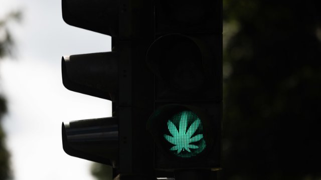 Kiffen wird legal! Bundestag erlaubt Besitz und Anbau von Cannabis