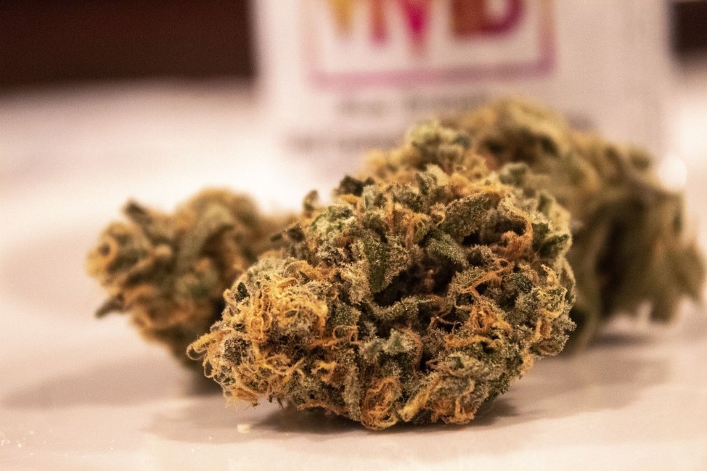 Zoll findet 20 Kilogramm Marihuana in professionellem Autoversteck Zoll findet 20 Kilogramm Marihuana in professionellem Autoversteck
