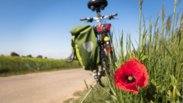 RadBusse machen ab 29. März wieder Radtouren im Grünen möglich