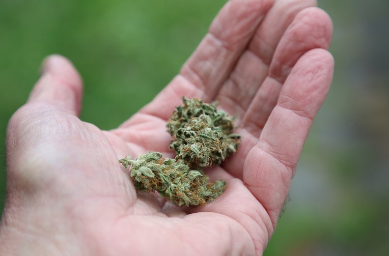 Erlaubtes Kiffen rückt näher! Bundesrat macht Weg für Cannabis-Legalisierung frei