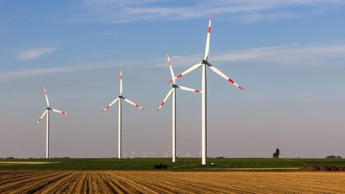 Landtag beschließt Gesetz zu Ausweisung von Flächen für Windenergie