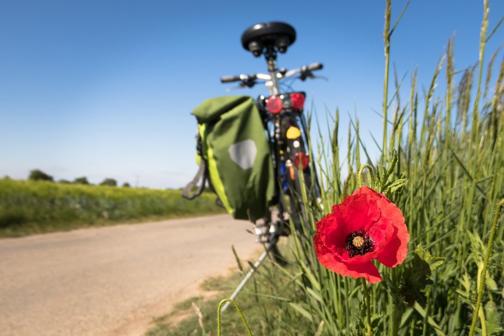 RadBusse machen ab 29. März wieder Radtouren im Grünen möglich