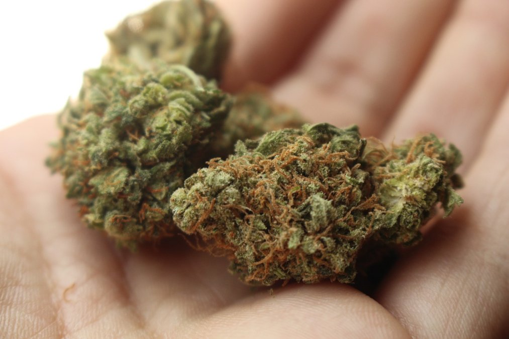 Kaum Folgen von Cannabis-Freigabe festgestellt Kaum Folgen von Cannabis-Freigabe festgestellt