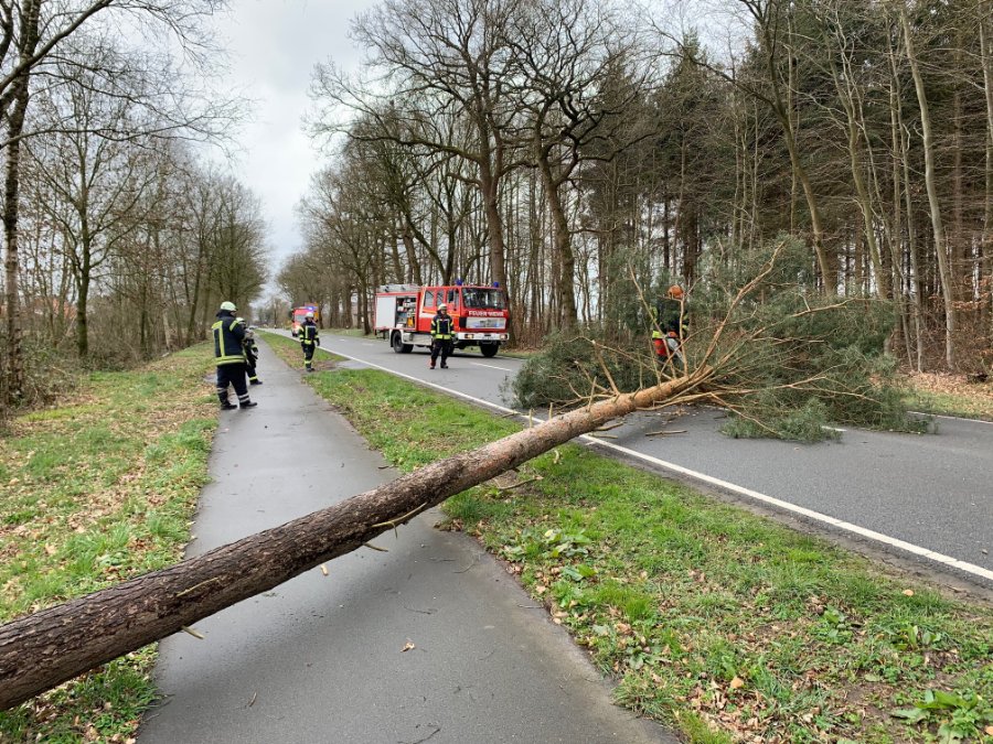 Sturm beschädigt Autos und Häuser in Rheinland-Pfalz