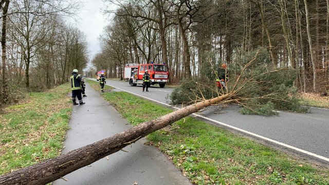Sturm beschädigt Autos und Häuser in Rheinland-Pfalz