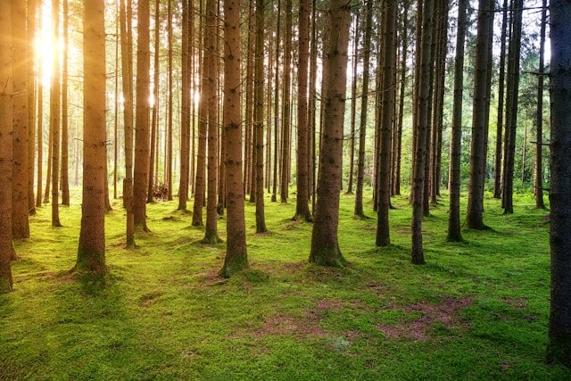 Neues Naturschutzgebiet Nauberg eingeweiht