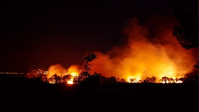 Rheinland-pfälzische Leitstellen für Waldbrände besser gerüstet