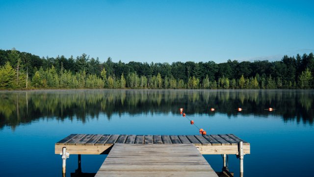 Fast alle Badeseen in Rheinland-Pfalz haben sehr gute Wasserqualität