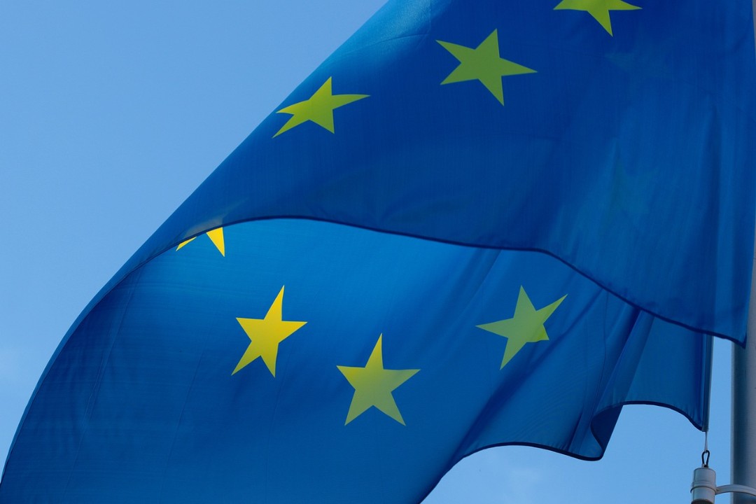 Union stärkste Kraft bei Europawahl - AfD vor SPD und Grünen Union stärkste Kraft bei Europawahl - AfD vor SPD und Grünen