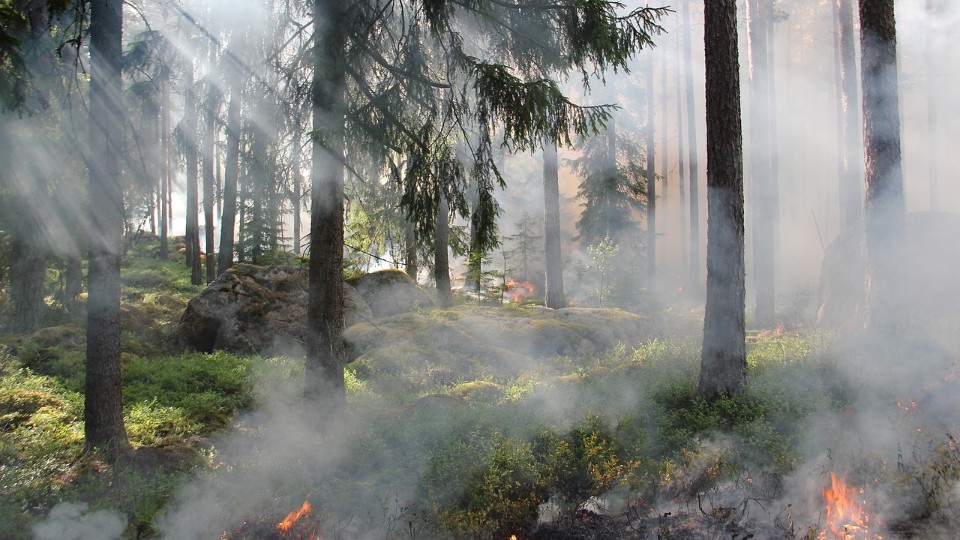 Brand Nummer 15! Mutmaßlicher Feuerteufel schlägt in Ransbach-Baumbach wieder zu