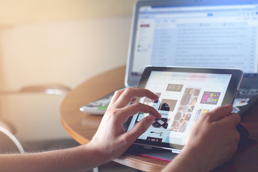 Experte fordert demokratische Kampagne im Internet Experte fordert demokratische Kampagne im Internet