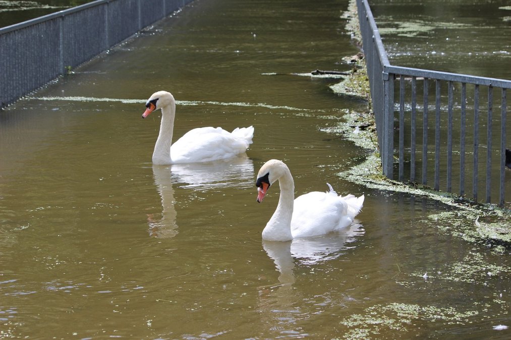 Hochwasserlage entspannt sich in Rheinland-Pfalz Hochwasserlage entspannt sich in Rheinland-Pfalz