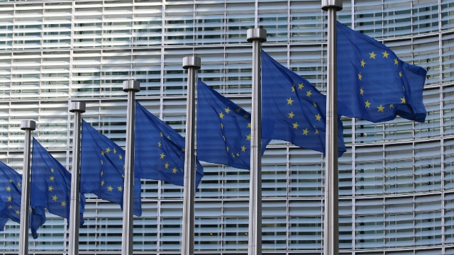 Welche Abgeordneten aus Rheinland-Pfalz ziehen ins EU-Parlament ein?