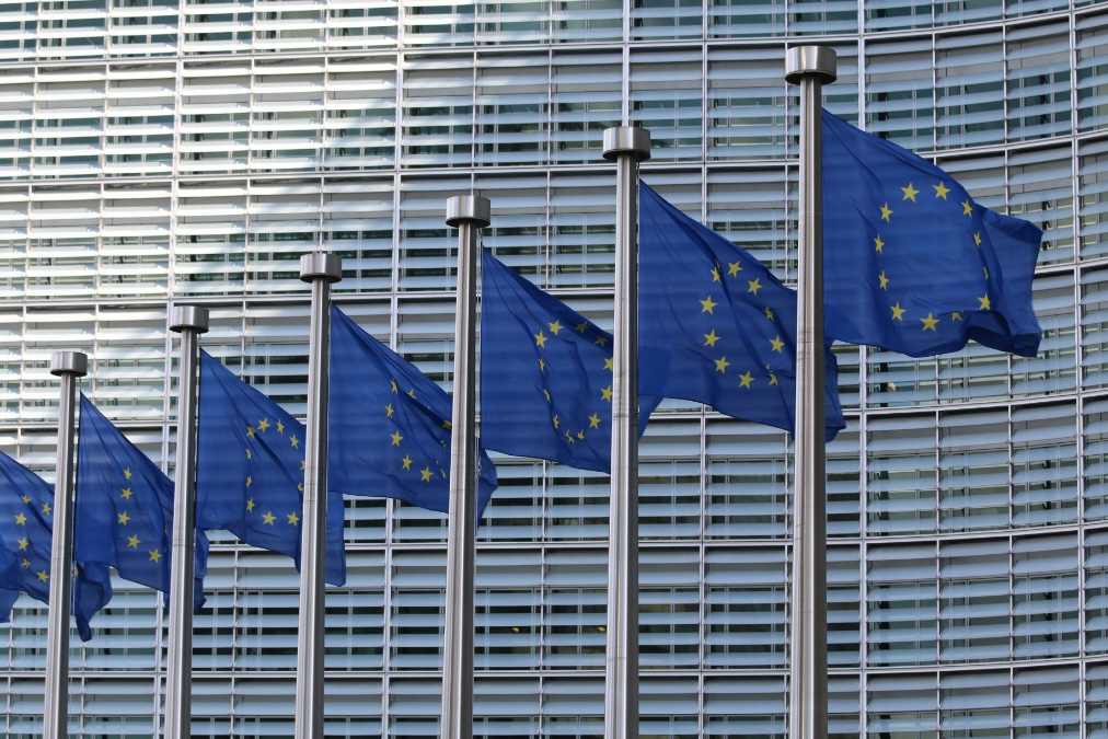 Welche Abgeordneten aus Rheinland-Pfalz ziehen ins EU-Parlament ein? Welche Abgeordneten aus Rheinland-Pfalz ziehen ins EU-Parlament ein?