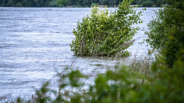 Hochwasserlage am Rhein entspannt sich leicht