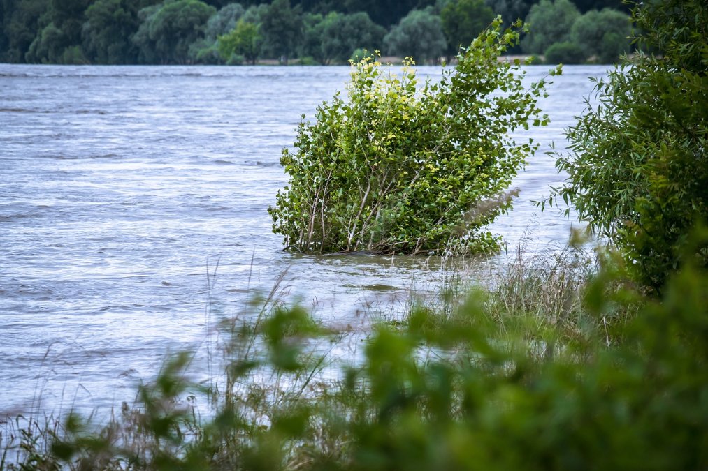 Hochwasserlage am Rhein entspannt sich leicht Hochwasserlage am Rhein entspannt sich leicht