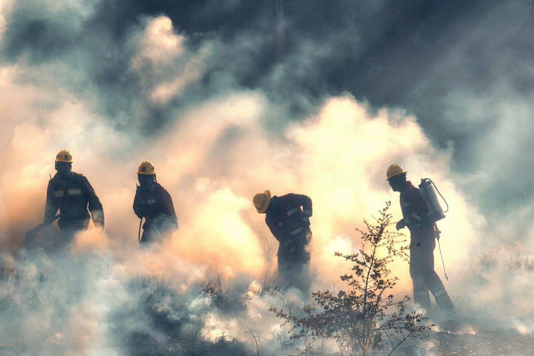 Brand Nummer 15! Mutmaßlicher Feuerteufel schlägt wieder zu Brand Nummer 15! Mutmaßlicher Feuerteufel schlägt wieder zu