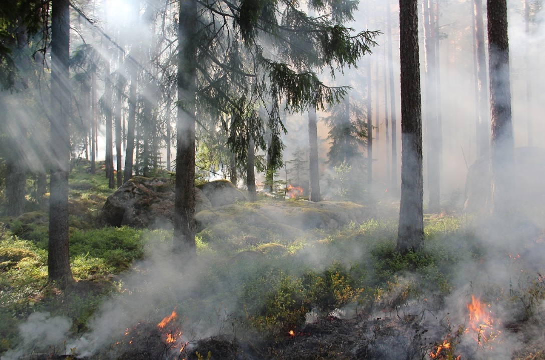 Brand Nummer 15! Mutmaßlicher Feuerteufel schlägt in Ransbach-Baumbach wieder zu Brand Nummer 15! Mutmaßlicher Feuerteufel schlägt in Ransbach-Baumbach wieder zu