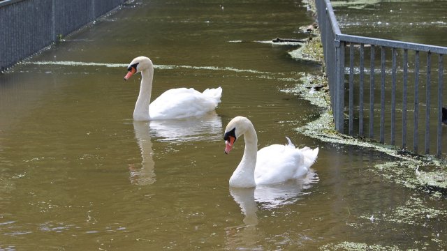 Hochwasserlage entspannt sich in Rheinland-Pfalz