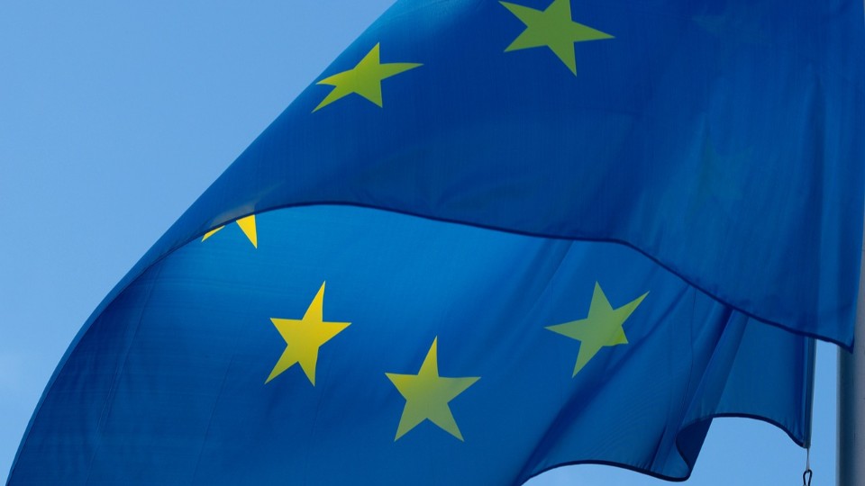 Union stärkste Kraft bei Europawahl - AfD vor SPD und Grünen