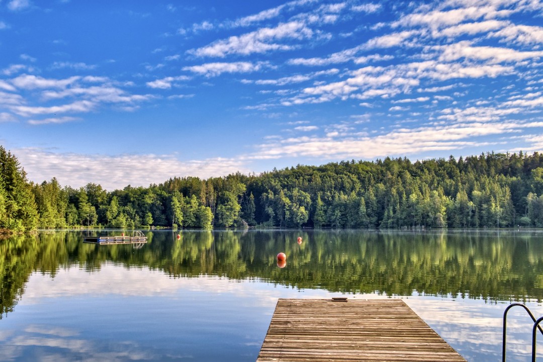 Rheinland-Pfalz: Gute Wasserqualität in fast allen Badeseen Rheinland-Pfalz: Gute Wasserqualität in fast allen Badeseen