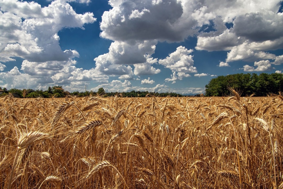 So startet Rheinland-Pfalz in die Sommerferien So startet Rheinland-Pfalz in die Sommerferien