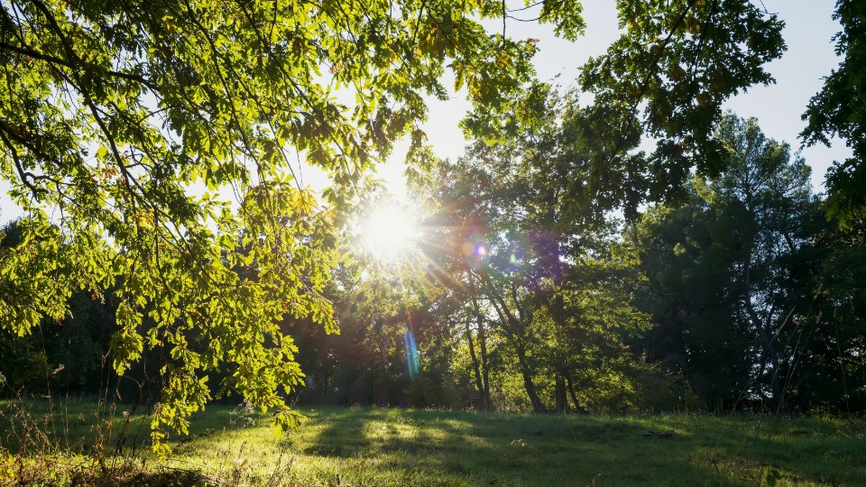 Wetter kurz wechselhaft vor dem Wochenende